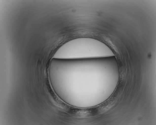 X0000091520213200708171017