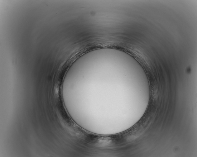 X0000091520214200708171017