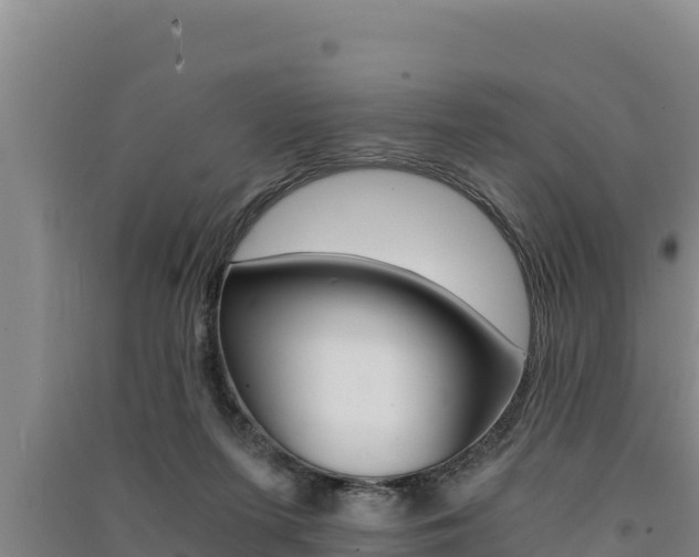 X0000091520215200708171017