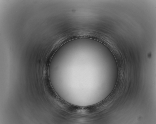 X0000091520216200708171017