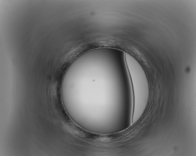 X0000091520217200708171017