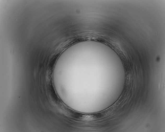 X0000091520218200708171017