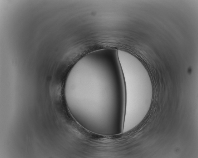 X0000091520219200708171016
