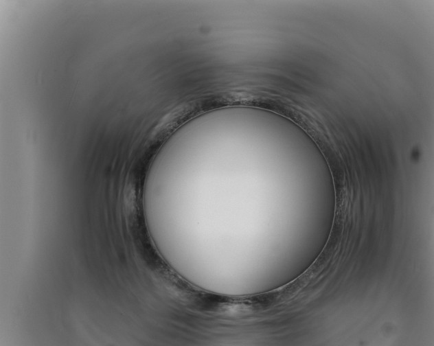 X0000091520220200708171016