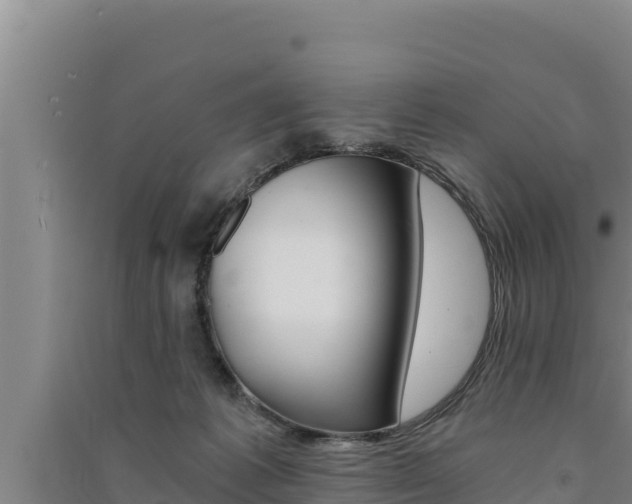 X0000091520221200708171016