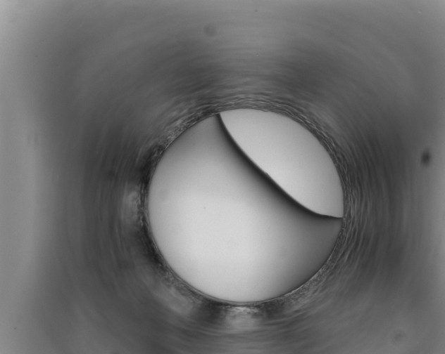 X0000091520222200708171016