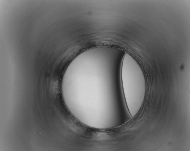 X0000091520224200708171016