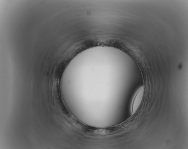 X0000091520225200708171016