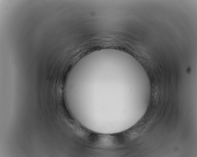 X0000091520226200708171016