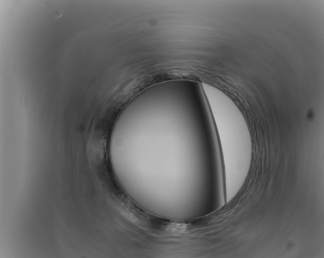 X0000091520227200708171016