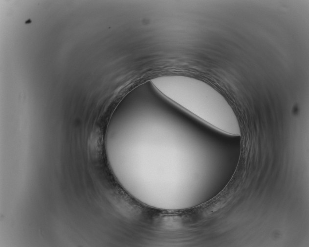 X0000091520228200708171016