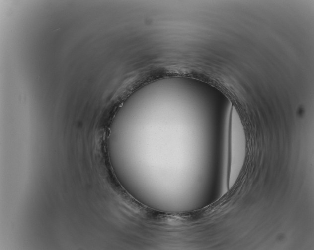 X0000091520229200708171016