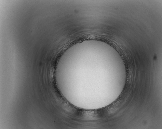 X0000091520230200708171016