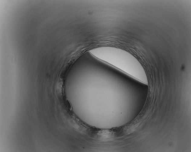X0000091520231200708171016