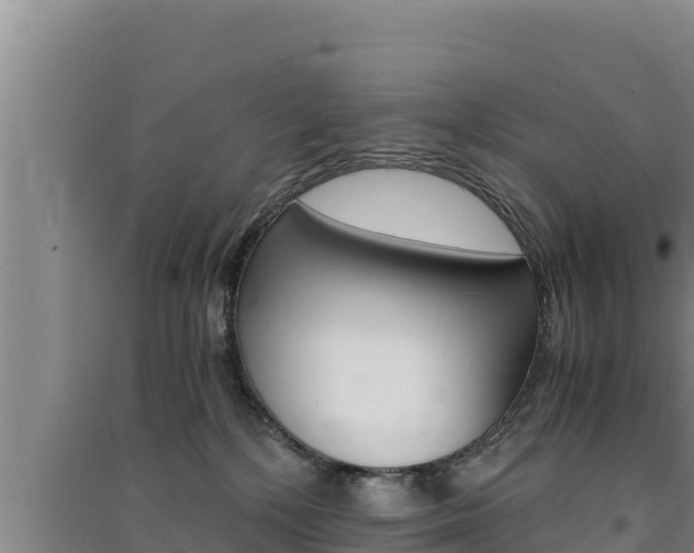 X0000091520232200708171016