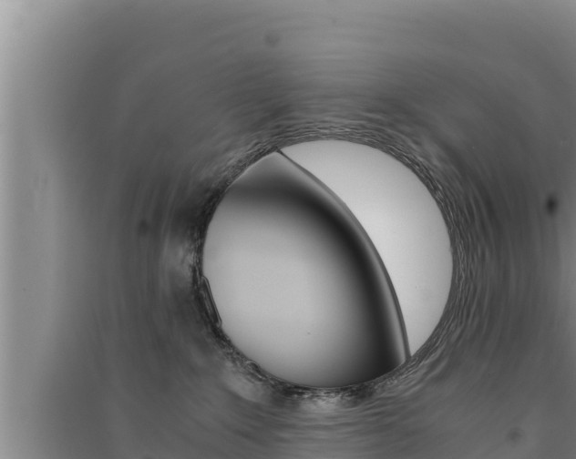 X0000091520235200708171016