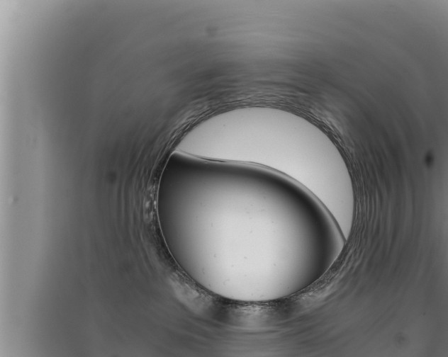 X0000091520237200708171016