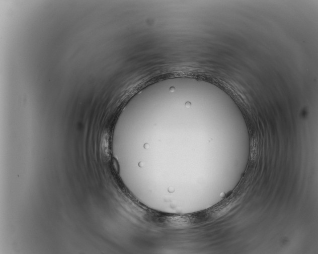 X0000091520238200708171016