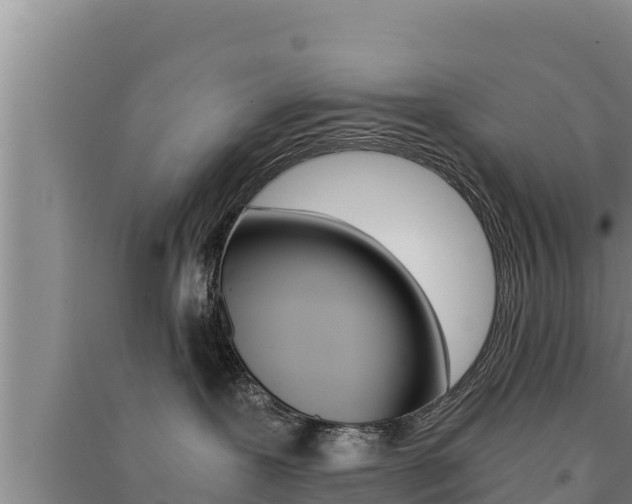 X0000091520239200708171016