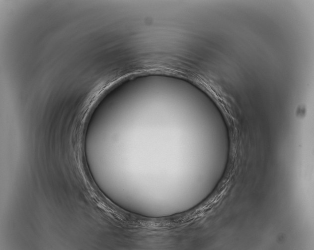 X0000091520241200708171016
