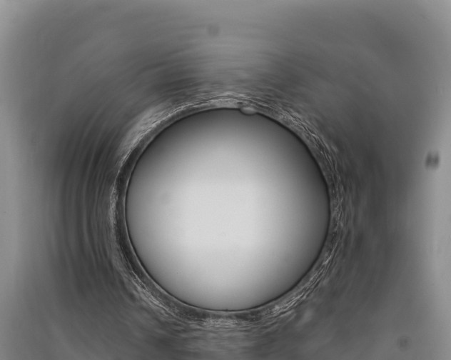 X0000091520242200708171016