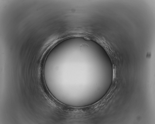 X0000091520243200708171016