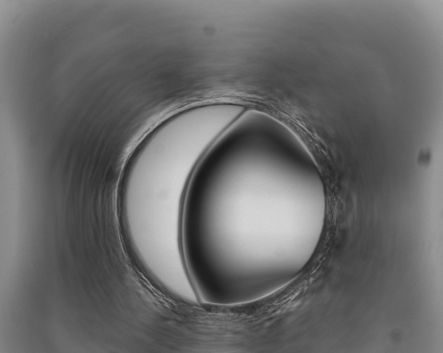 X0000091520244200708171016