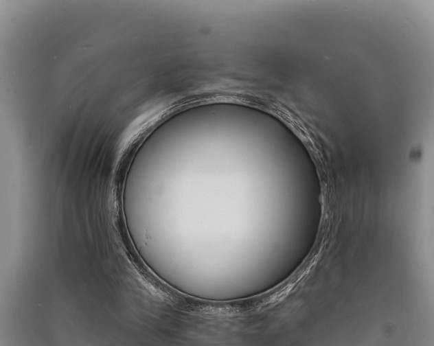 X0000091520245200708171016
