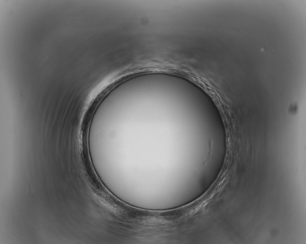 X0000091520246200708171016