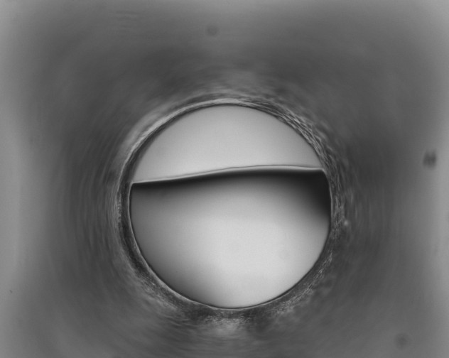 X0000091520247200708171016