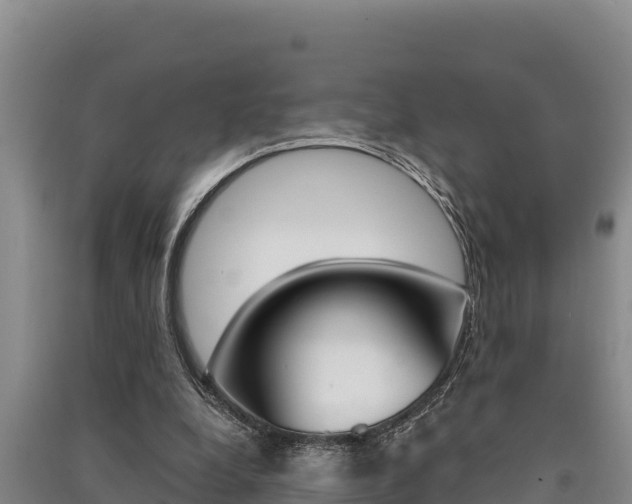 X0000091520248200708171016