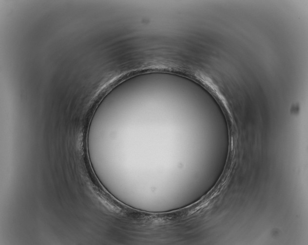 X0000091520249200708171016