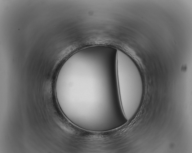 X0000091520250200708171016