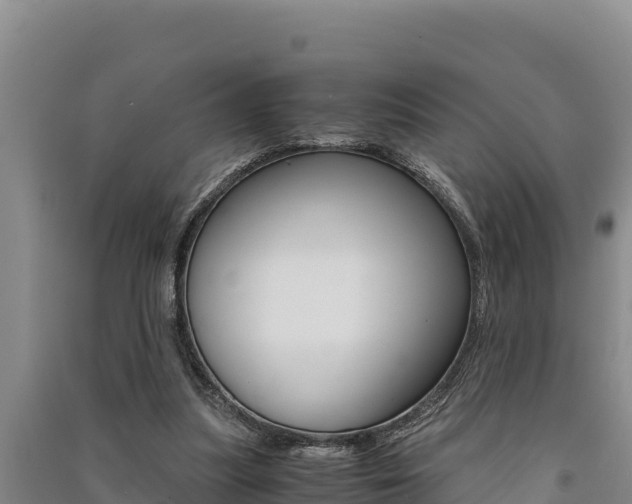 X0000091520251200708171016