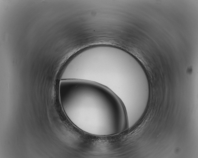X0000091520252200708171016