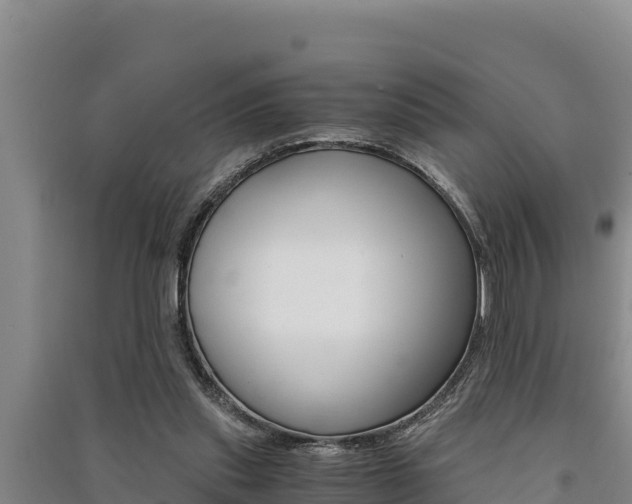 X0000091520253200708171016