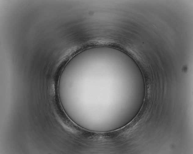 X0000091520254200708171016
