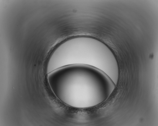 X0000091520256200708171016