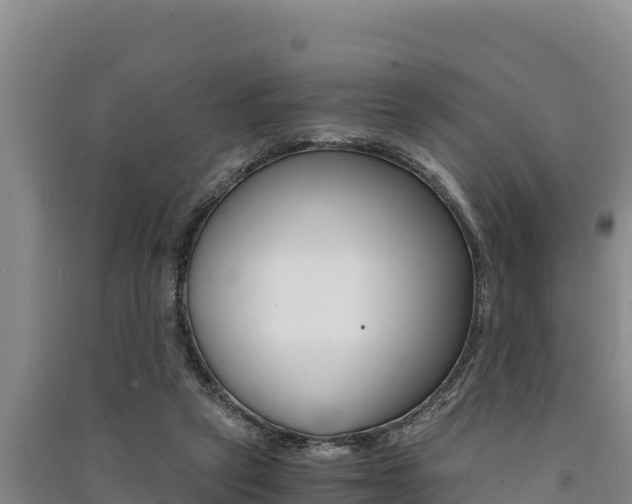 X0000091520257200708171016