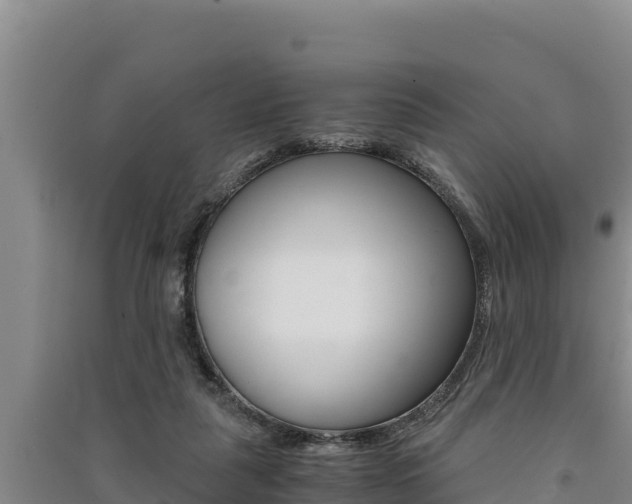 X0000091520259200708171016