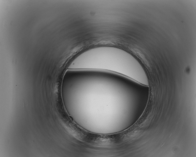 X0000091520260200708171016