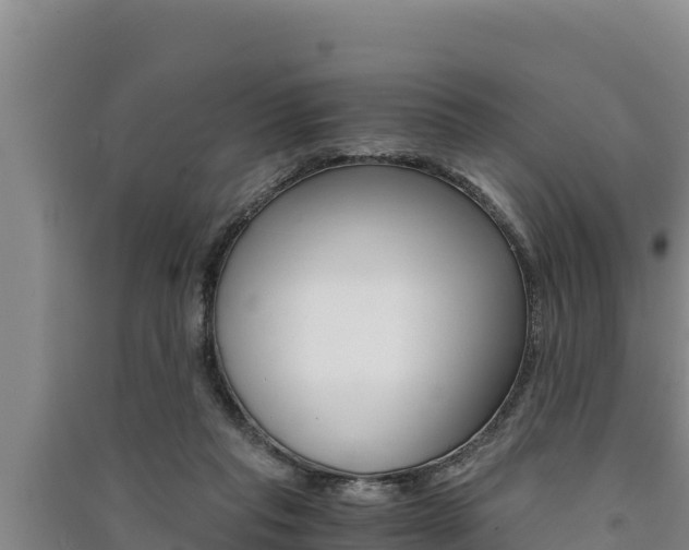 X0000091520261200708171016