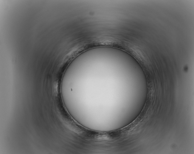 X0000091520262200708171016