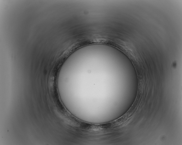 X0000091520263200708171016