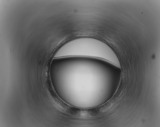 X0000091520264200708171016