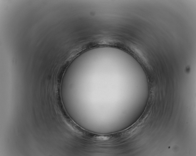 X0000091520265200708171016