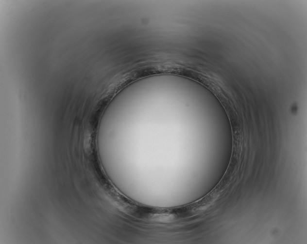 X0000091520266200708171016