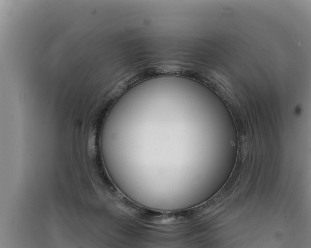 X0000091520267200708171016