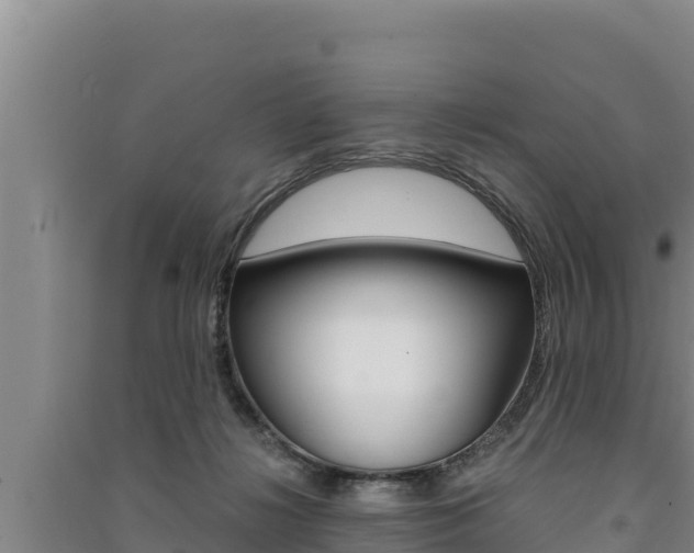 X0000091520268200708171016