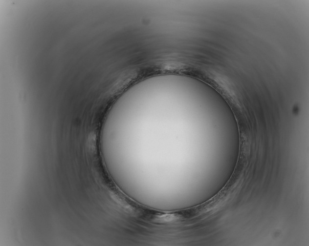 X0000091520269200708171016